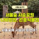 가족이 함께 떠나는 숲체험 & 놀이 - 애벌레 숲 놀이터 | 서울숲 놀거리 아이랑 사슴공원 먹이주기 &amp; 나비정원, 곤충식물원 방문후기