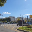 덕일체육관 이미지