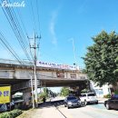 봉우농장 | [RT&#39;s 일상창고] 양평 두물머리 연꽃 보고 연잎 연핫도그 먹고 : 만개 시기·무료 공영주차장 팁
