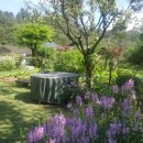 신동아빌라.시네하우스 이미지