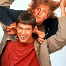 Jim Carrey’s Career Kicked in the Shins as 'Dumb &amp; Dumber To' Fumbles 이미지