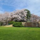 뉴코리아실외 이미지