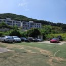 용인수상스키장 이미지
