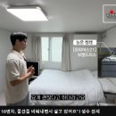 다올타일&바스 | 인테리어 소품 살림 추천템