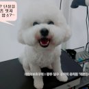 흑진주미용실 이미지