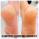 젤이뻐