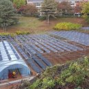 새마을 태양광발전소 이미지