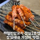 영탁양꼬치 | 하얼빈양꼬치 잠실2호점 솔직후기 잠실새내 가성비맛집 인정?