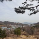 딸기원