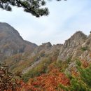 구봉산 Daum카페
