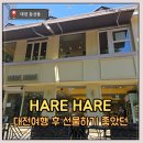 하레하레 | [대전여행] 개인적으로 성심당보다 맛있었던, 하레하레 카스테라 내돈내산 후기