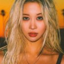 울로그 네이버블로그