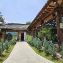 족보설렁탕 | 전주 설렁탕 맛집 족보설렁탕 재방문 내돈내산 점심 후기
