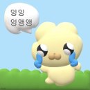 [공지] [🇳🇿뉴질랜드 여행] 🥝키위국 오클랜드편