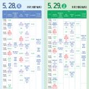 테마와 하루(지역축제 체험) | 임실N장미축제 2026 실시간 🌹 임실치즈테마파크 장미원 완벽 가이드