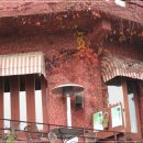 왈츠와 닥터만 커피박물관 이미지