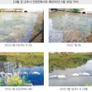 한국정화(주)