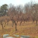 구룡체육관로 이미지