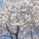 딩동댕발전소 이미지