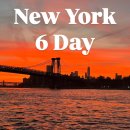 뉴욕 6Day (피터루거, 브루클린, 조스피자, 도미노파크, 인생 노을, 브루클린 브릿지, 타임아웃마켓 야경)
