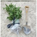 왕산농장 이미지