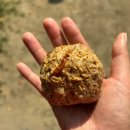 코끼리 | 태국 방콕 엘리펀트파크 코끼리보호소 내돈내산 후기