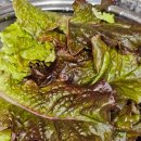 영암상회 이미지