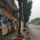 장수빈대떡 이미지