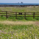 벽계마을(단구2리) | 사계 해안과 송악산