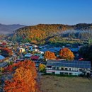 영천한의마을 약초도 이미지