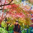 금강공원4 이미지