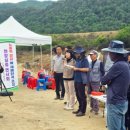 모내기 - 포천시 군내면 | 모내기