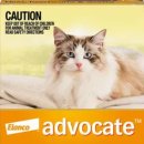 햇살가득약국 이미지