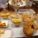 비엔씨학원 이미지