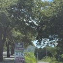 숲테이투게더 | 숙소] 삶이 재미없을 때 떠나버린 여름맞이 여행 | 대구 근교 감성숙소 “숲테이투게더” 숲테이동 후기