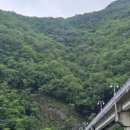 더카페영월고씨동굴점 | 왕사남 영월 1박2일 여행 고씨동굴 입장료, 관람시간,소요시간과 관람후기