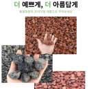낭만정원 이미지