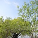 우포늪생태공원 이미지