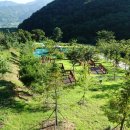 산수유자연휴양림 이미지