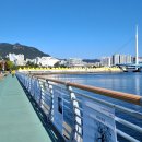 마산 가고파 국화 축제 이미지