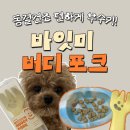 대신포크 - 중구 | 강아지 식기 동결건조 화식 습식 쉽게 먹이기 바잇미 버디포크 내돈내산 후기