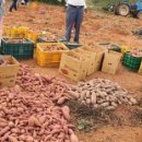 서해3농장 이미지