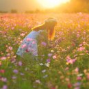 예쁘다,오늘 이미지