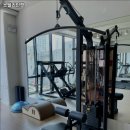 스텔라인핏 이미지