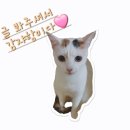따스 양꼬치 이미지