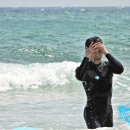 코코넛19 이미지