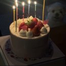 신기(남)경로당 | 뇌를 거치지 않는 답변