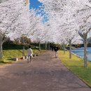 망월천_호수공원4 이미지