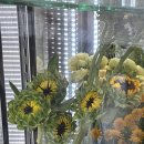 사파동272 이미지