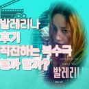 발레리나 넷플릭스 영화 후기, 직진하는 복수극 볼까 말까